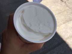 -洪馨椰子