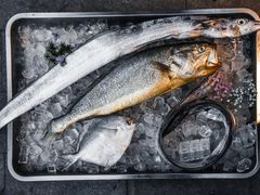 -烧货·活海鲜炭烧(湖滨商业街店)