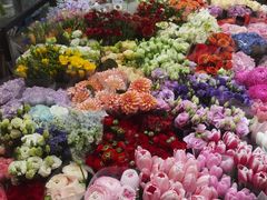 -双季花艺园艺市场(浦东店)