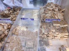 -上海哈尔滨食品厂(淮海中路店)