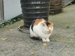 -贡湖湾湿地公园