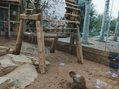 -石家庄市动物园