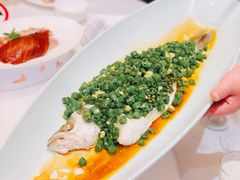 青椒海鲈鱼-慧泽园·烤鸭店(花园里店)