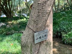 -杭州植物园