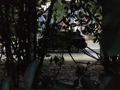 -花溪公园