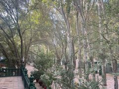 -艾提尕尔清真寺