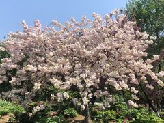 -江南大学(蠡湖校区)