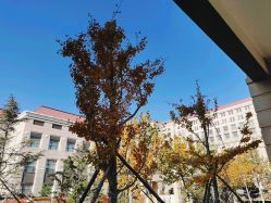 -大连市妇女儿童医疗中心