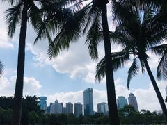 -万绿园