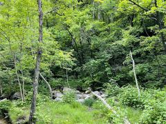 -玉渡山自然风景区