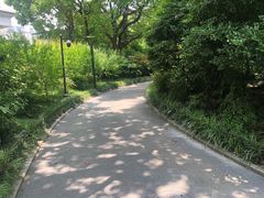-兰溪青年公园