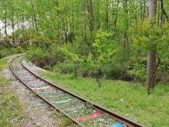 -合肥滨湖国家森林公园