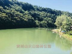 -黄椅山火山森林公园