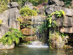 -广州神农草堂中医药博物馆