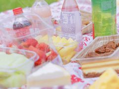 -贡湖湾湿地公园