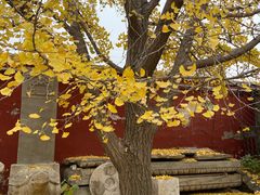 -北京石刻艺术博物馆(五塔寺)