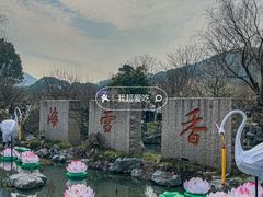 -香雪海