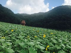 -广州市石门国家森林公园