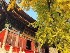 -宝通禅寺