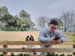 -趣多多宠物公园·宠物训犬学校·宠物寄养