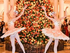 -LONG BAR 廊吧(外滩华尔道夫酒店)