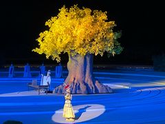 -鼎盛王朝康熙大典实景演出