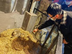 -酷嗒动物文化乐园(cutezoo西溪乐天城店)