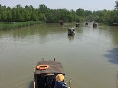 -溱湖国家湿地公园