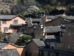 -杨家堂村