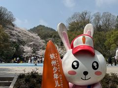 -杭州少年儿童公园