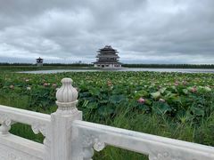 -呼兰河口湿地公园