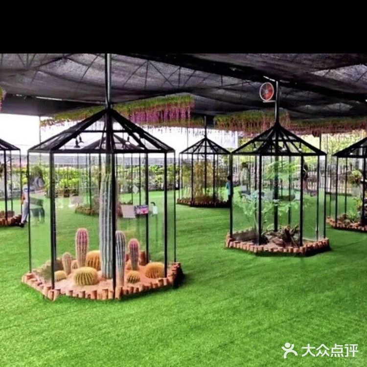 捉泥鳅，滑草come on