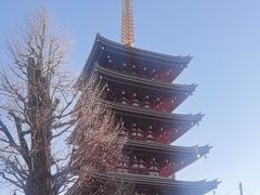 -浅草寺