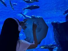 -华夏文旅海洋公园