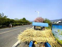 -东山风景区(洞庭东山)