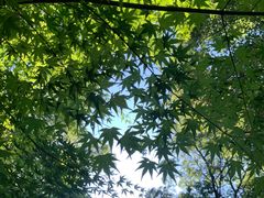 -新洲生态园