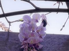 -汇德隆银隆