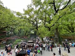-普陀山风景名胜区-法雨禅寺