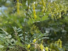 -南京市无想山景区