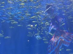 -华夏文旅西安度假区