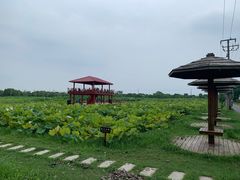 -嘉北郊野公园