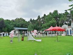 -大鹅岛绿色生态美食园