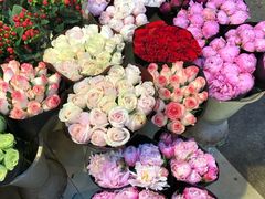 -双季花艺园艺市场(浦东店)