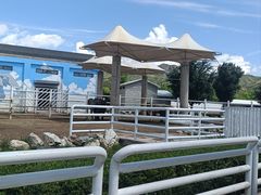 -大青山野生动物园