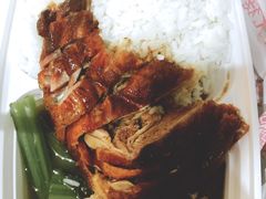 -肥仔烧鹅(松岗店)