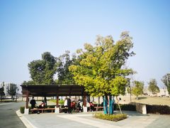 -盘龙城国家考古遗址公园