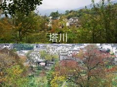 -石台牯牛降景区