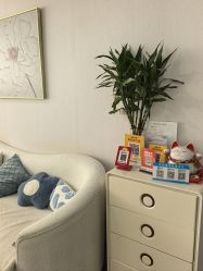 -芮悦·璀璨无创洗眉·专业洗眼线·专业洗唇