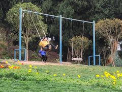 -中国香山·寿香谷