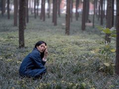 -河南省黄河迎宾馆